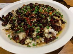-三猫黑鱼花(南大店)