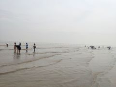 -南汇嘴观海公园