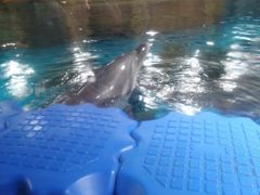 -波塞冬旅游度假区