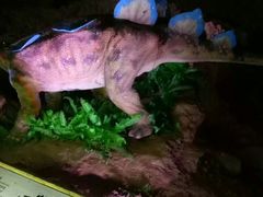 -寻龙山风景旅游区