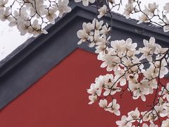 -玲珑塔公园