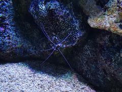 -大连老虎滩海洋公园