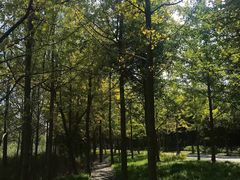 -昆山城市生态森林公园