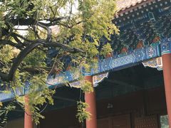 -北京国子监胡同