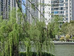 -苏州河梦清园环保主题公园