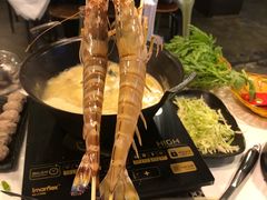 花竹虾-鲜入围煮花胶鸡海鲜火锅