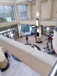 -上海交通大学医学院附属上海儿童医学中心(陆家嘴总院区)
