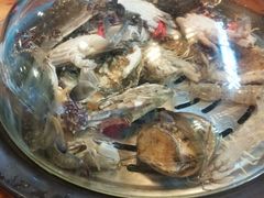-蟹谢蒸鲜自助餐厅