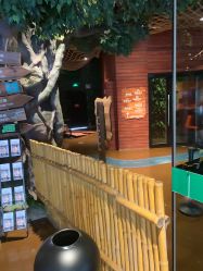 -奇幻丛林(佛罗伦萨小镇店)