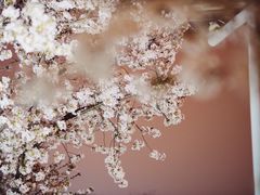 -龙美术馆(西岸馆)