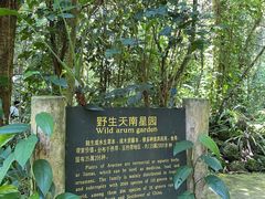 -中国科学院西双版纳热带植物园