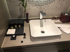 -南京禄口机场雅高铂尔曼大酒店