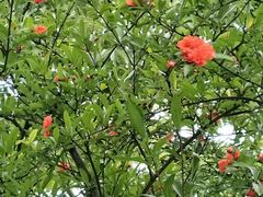 -杭州城北体育公园