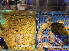 -鱼满舱·鲜活海鲜·正宗鲁菜