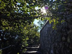 -香山公园