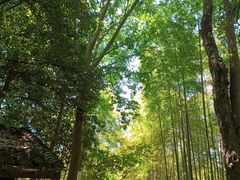 -杭州黄龙洞