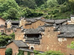 -杨家堂村