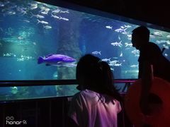 -北戴河圣蓝海洋公园