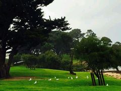 -墨尔本皇家植物园