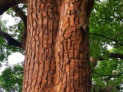 -知味观(湖滨总店)