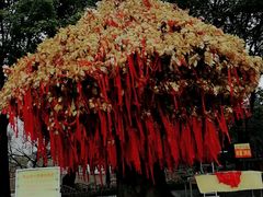 -狼山风景名胜区