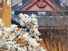 -杭州上天竺法喜讲寺