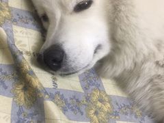 -幸福蓝海国际影城(苏州凤凰店)