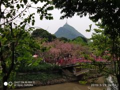 -南溪山景区