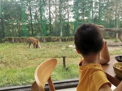 -上海野生动物园老虎餐厅