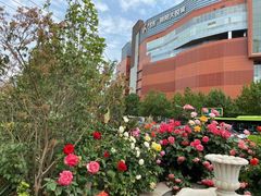 -青年公社烤鸭(青年路店)