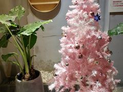 -狐狸爱上椰子鸡(滨江星光大道店)