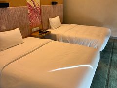 -佛山南海雅乐轩酒店
