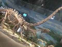 -自贡恐龙博物馆