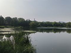 -北坞公园