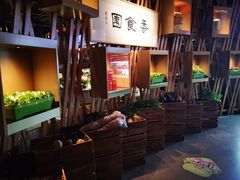 -番食园鲜食火锅(高新店)