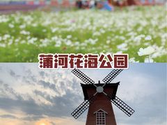 -蒲河岛湿地公园