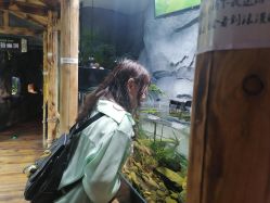 -Zoolung Zoolung动物主题公园(海信广场店)