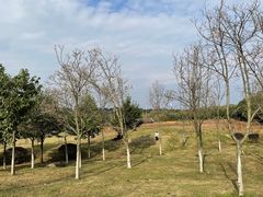 -马帮寨院坝火锅(龙港公园店)