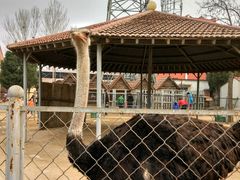 -意大利农场度假村