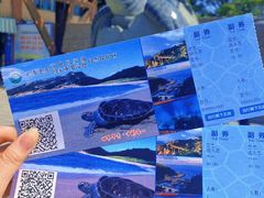 -广东惠东海龟国家级自然保护区