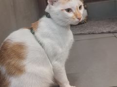 -Again Coffee Roaster(香蜜湖店)