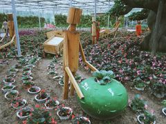 -上海都市菜园