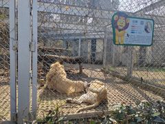 -合肥野生动物园