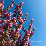 京城休闲公园不错[OK]