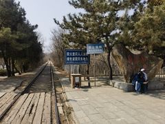 -府君山公园