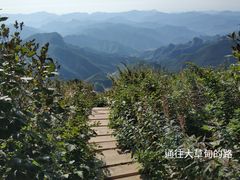 -白草畔自然风景区