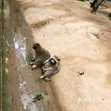 杭州旅游攻略之来杭州与野生动物亲近吧