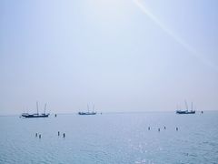 -贡湖湾湿地公园