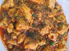 麻婆豆腐-老回回饺子馆(海洋馆店)