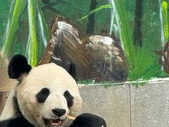 -南昌动物园